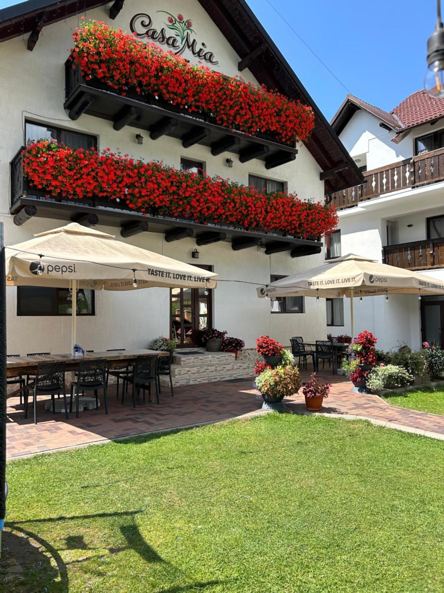 米奥修德萨斯 Casa Mia酒店 外观 照片