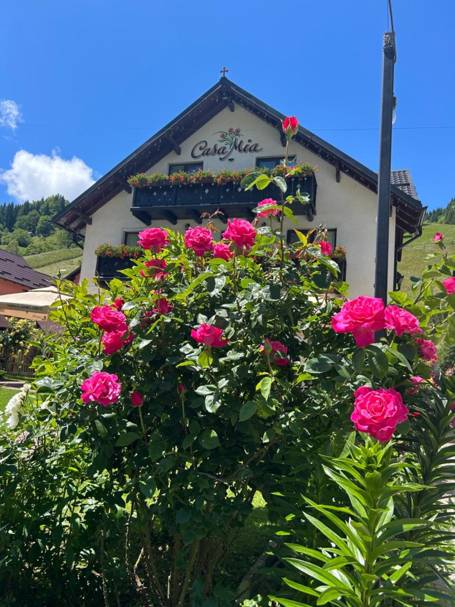 米奥修德萨斯 Casa Mia酒店 外观 照片